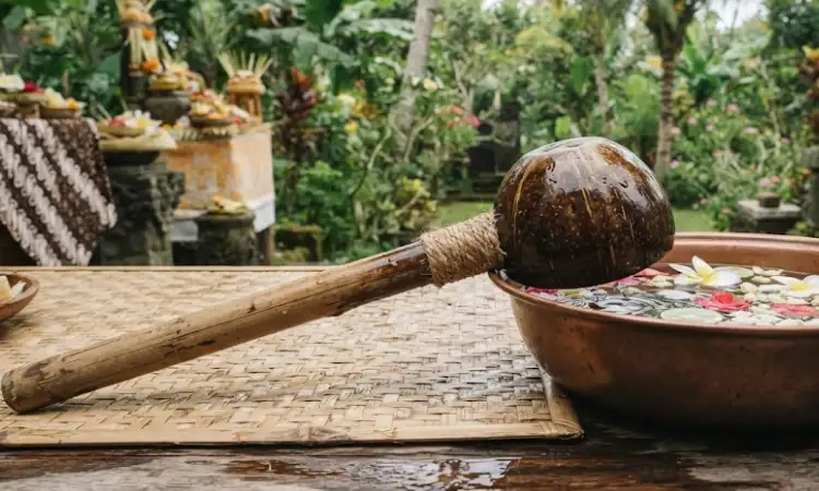Gayung Batok Kelapa Tradisional, Sumber: AI