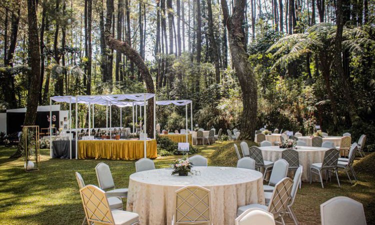 Tips mengadakan wedding di hutan pinus, Sumber: kompas.com