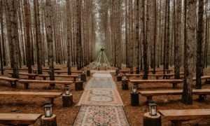 Wedding pohon pinus, Sumber: orami.com