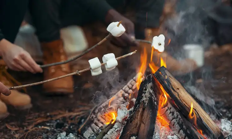 Api unggun, Sumber: twinbridgecampground.com