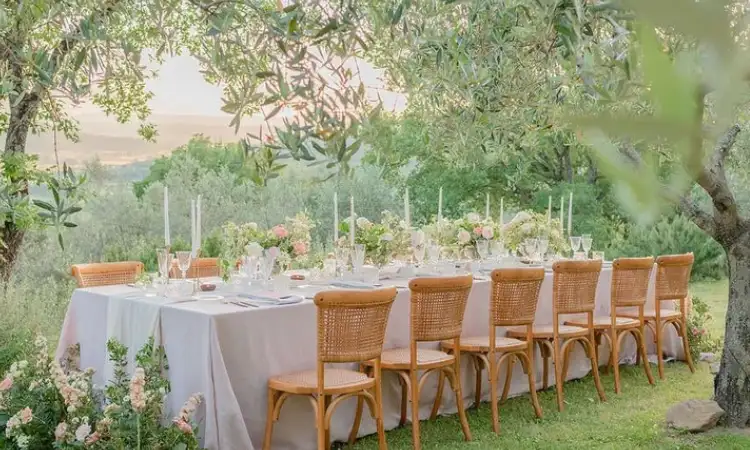 Intimate wedding party, Sumber: xogrp.com