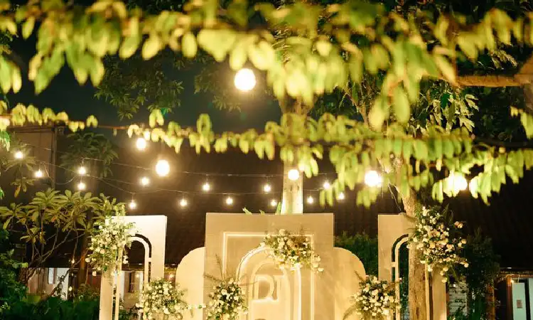 Dekorasi tanaman hijau, Sumber: bridestory.com