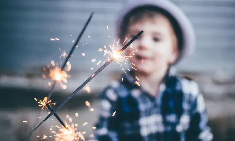 Pesta kembang api, Sumber: shopify.com