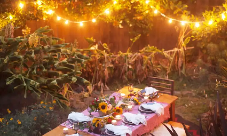 Modern night garden, Sumber: hearstapps.com